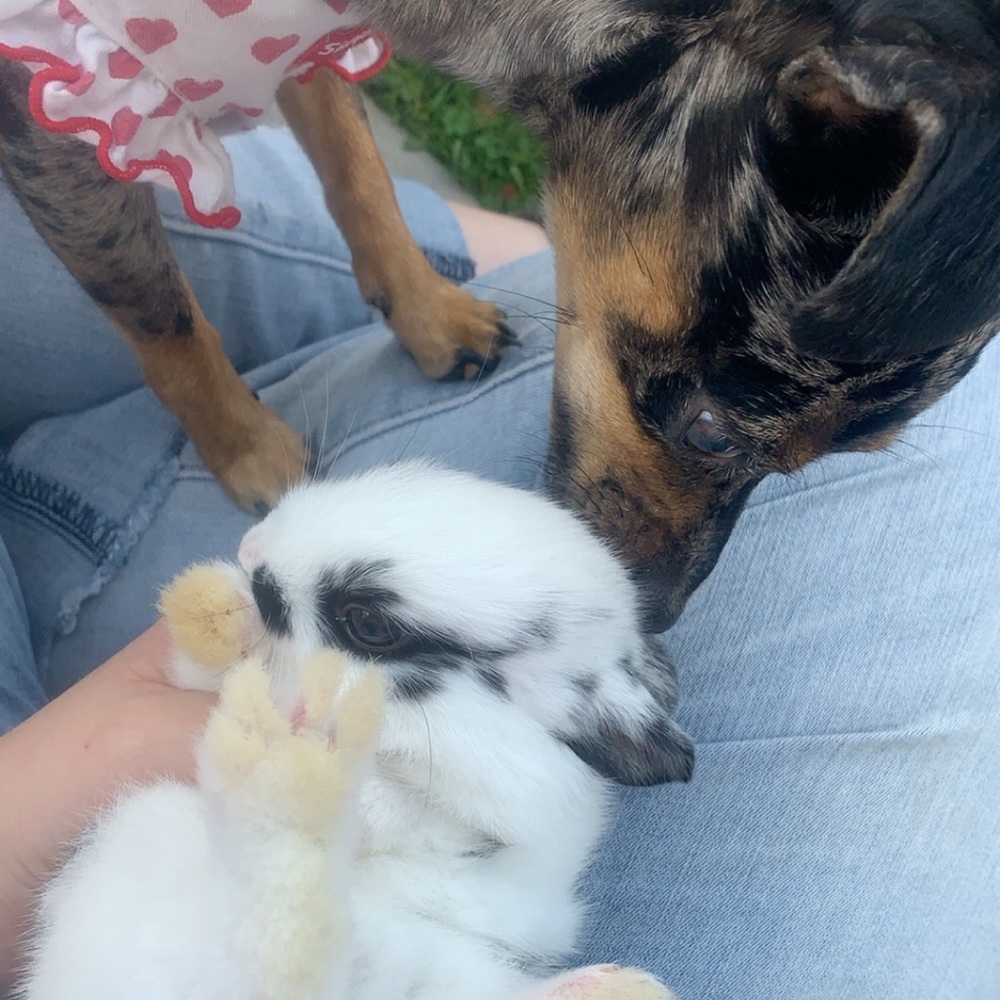 Meet your Posher, Stephanie